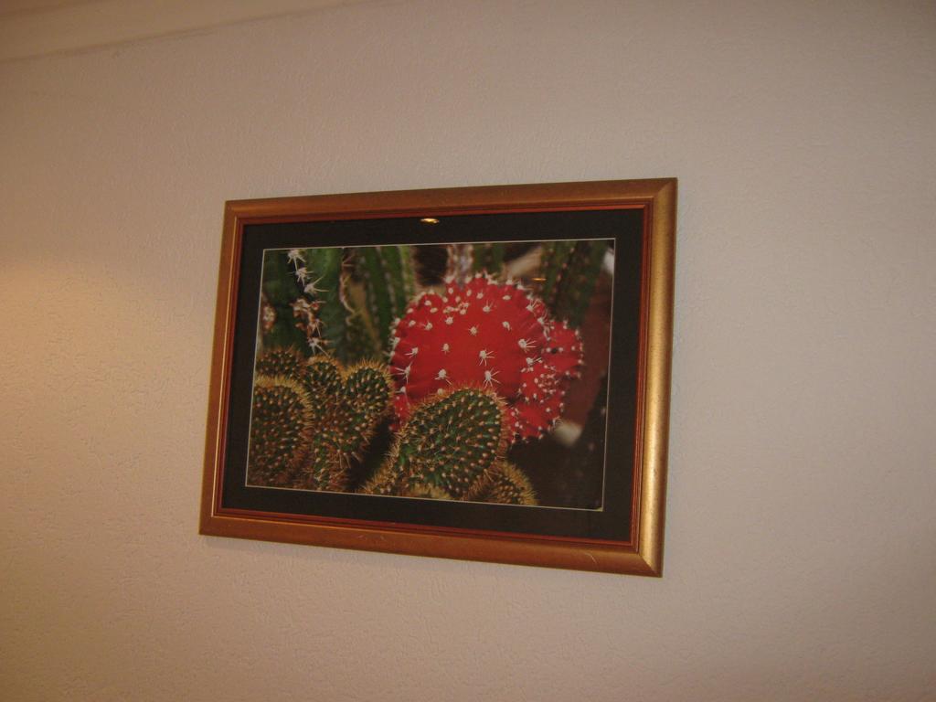 Apartment Vistanova Vrdnik Pokoj fotografie